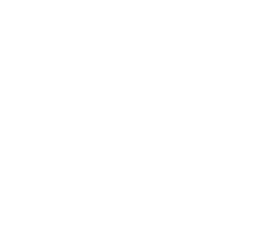 TFS Logo